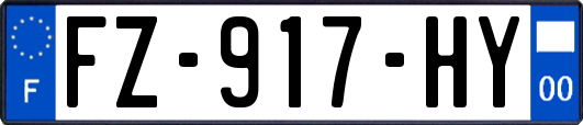 FZ-917-HY