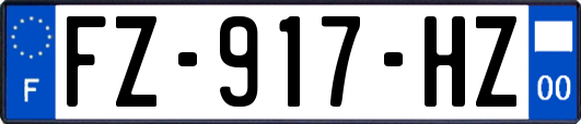 FZ-917-HZ