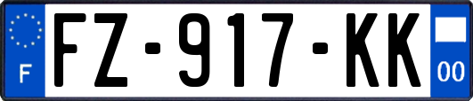 FZ-917-KK