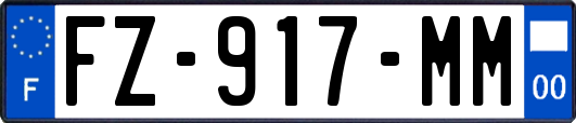 FZ-917-MM