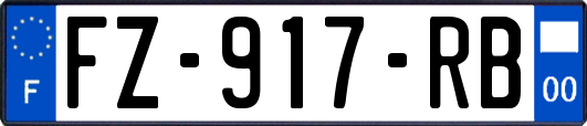 FZ-917-RB