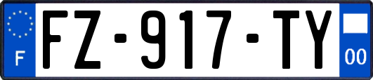 FZ-917-TY
