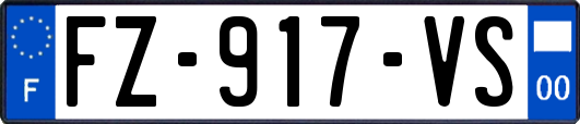 FZ-917-VS