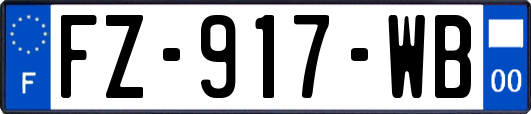 FZ-917-WB