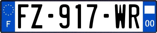 FZ-917-WR