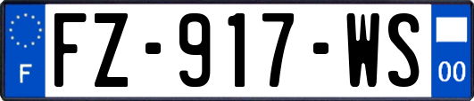 FZ-917-WS