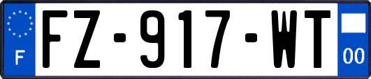 FZ-917-WT