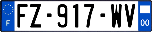 FZ-917-WV