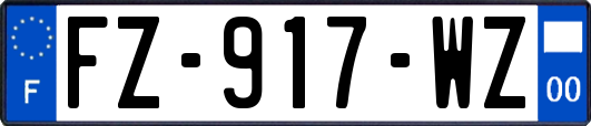 FZ-917-WZ