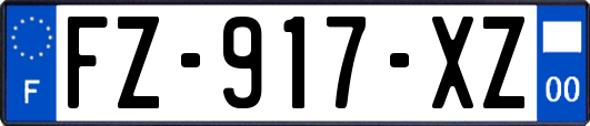 FZ-917-XZ