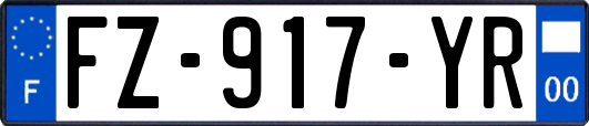 FZ-917-YR