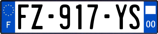 FZ-917-YS