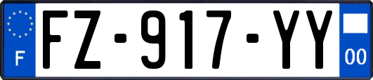 FZ-917-YY