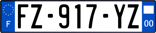 FZ-917-YZ