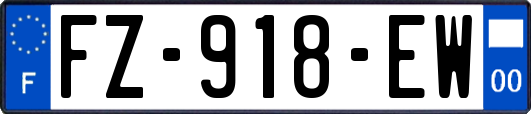 FZ-918-EW