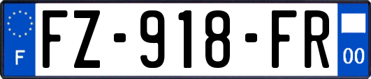 FZ-918-FR