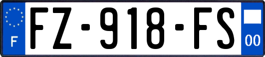 FZ-918-FS