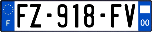 FZ-918-FV