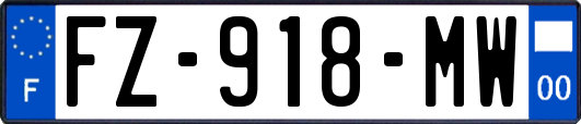 FZ-918-MW