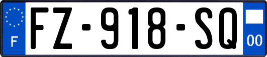 FZ-918-SQ