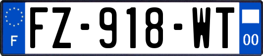 FZ-918-WT