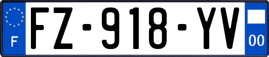 FZ-918-YV
