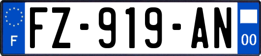 FZ-919-AN