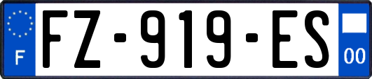 FZ-919-ES