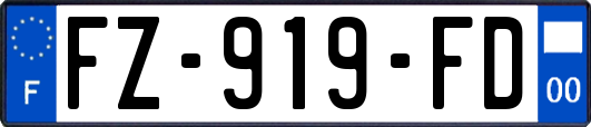 FZ-919-FD