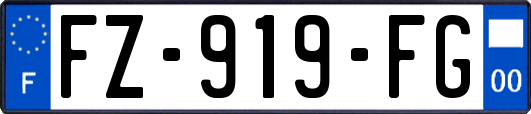 FZ-919-FG