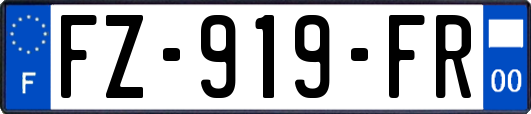 FZ-919-FR