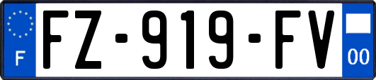 FZ-919-FV