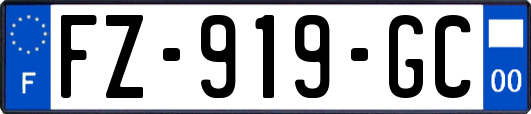 FZ-919-GC