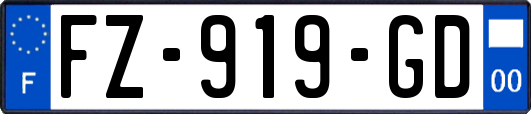 FZ-919-GD