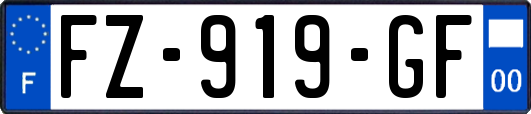 FZ-919-GF