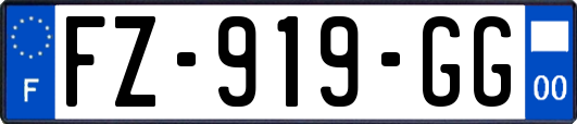 FZ-919-GG