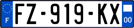 FZ-919-KX
