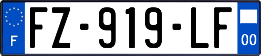 FZ-919-LF
