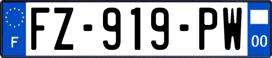 FZ-919-PW
