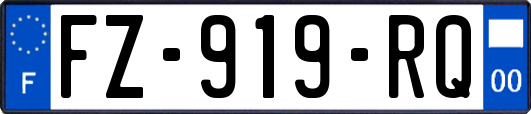 FZ-919-RQ