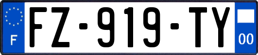 FZ-919-TY