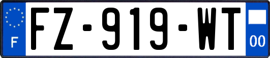 FZ-919-WT