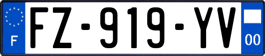 FZ-919-YV