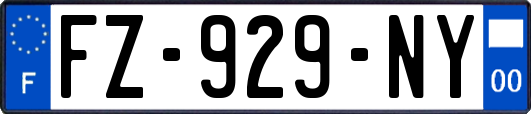 FZ-929-NY