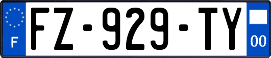 FZ-929-TY
