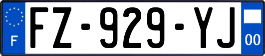 FZ-929-YJ