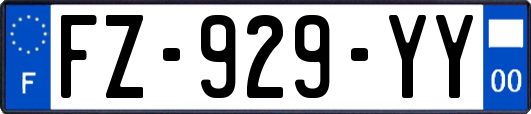 FZ-929-YY