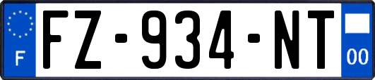 FZ-934-NT