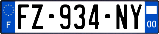 FZ-934-NY