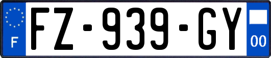 FZ-939-GY